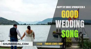 Happy' by Bruce Springsteen: Perfect Wedding Song
