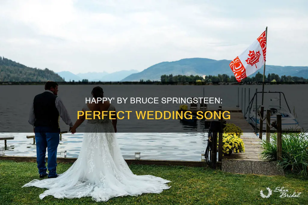 is happy by bruce springsteen a good wedding song