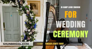Is a Harp's Volume Suitable for Your Wedding Ceremony?