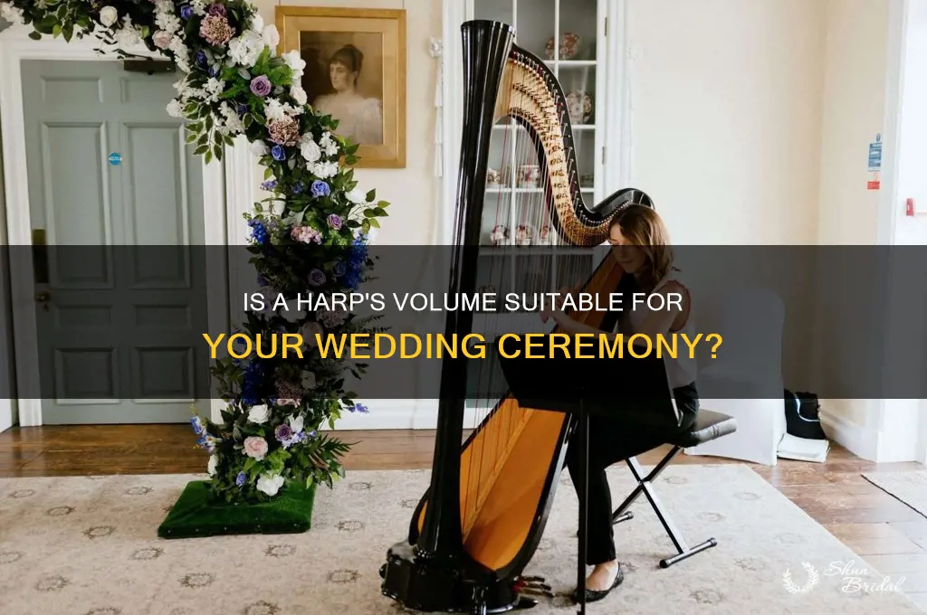 is harp loud enough for wedding ceremony