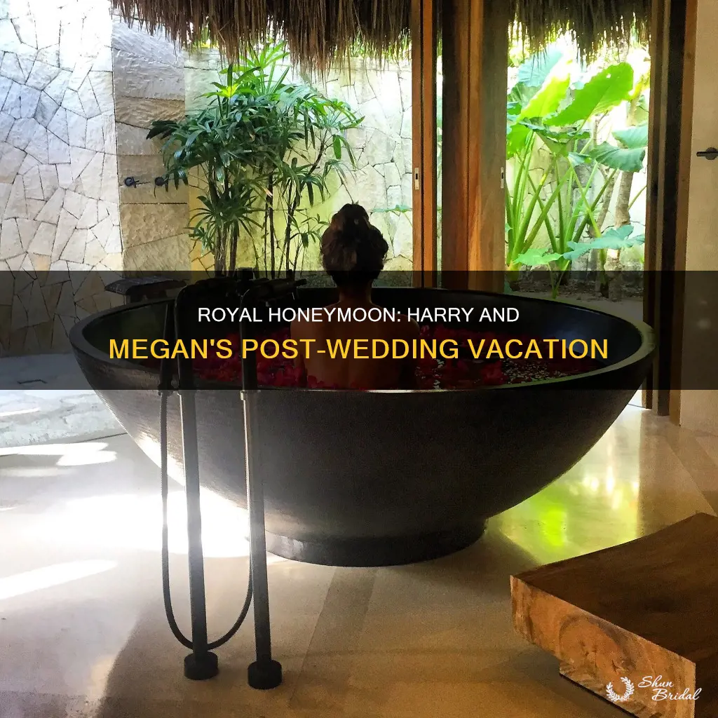 is harry and megan going on a honeymoon