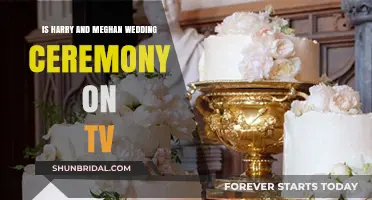 Harry and Meghan's Royal Wedding: TV Broadcast Details Revealed