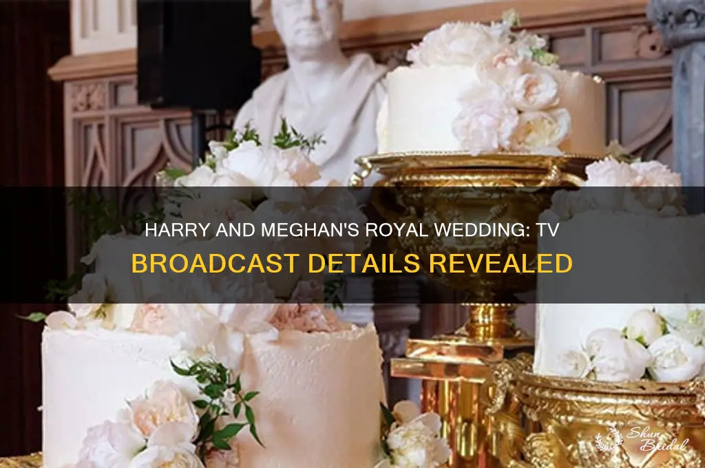 is harry and meghan wedding ceremony on tv