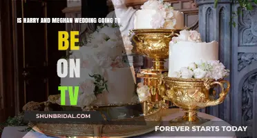 Will Harry and Meghan's Royal Wedding Air on TV?
