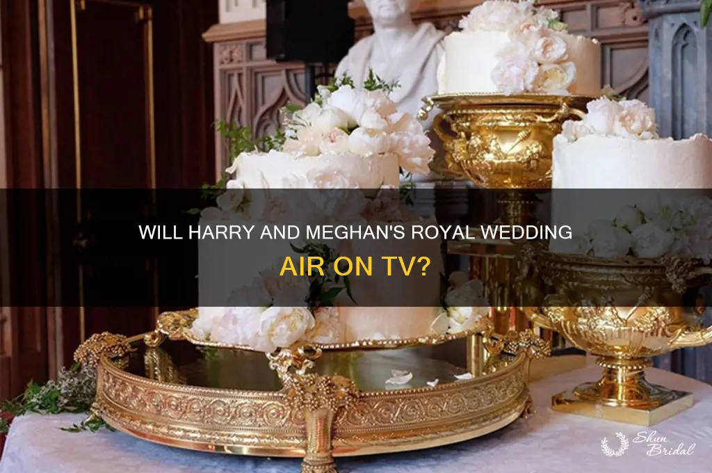 is harry and meghan wedding going to be on tv