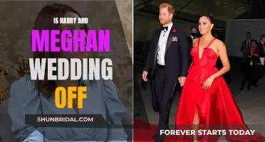 Harry and Meghan's Wedding: Cancelled?