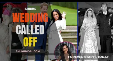 Harry's Wedding: On or Off?