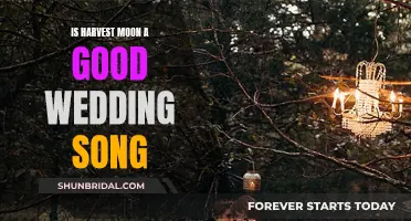 Harvest Moon: A Wedding Song Choice?