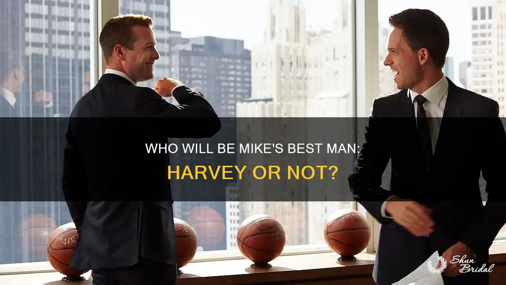 is harvey mike