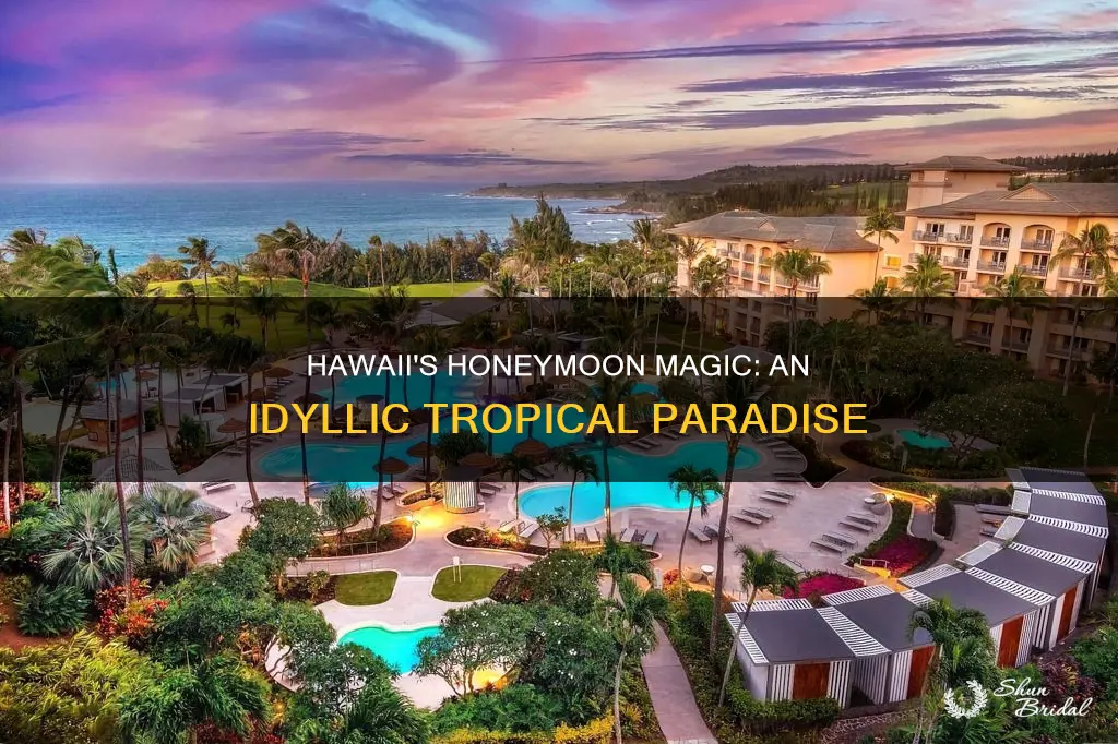 is hawaii a honeymoon