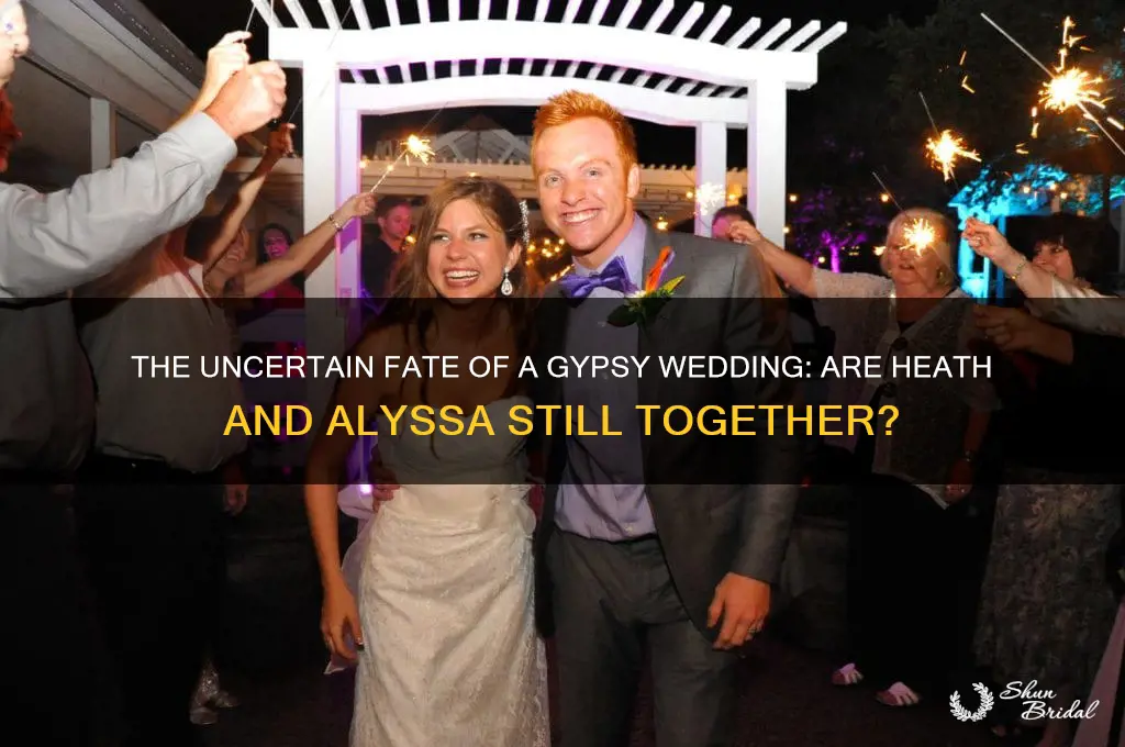 is heath and alyssa big fat gypsy wedding still married