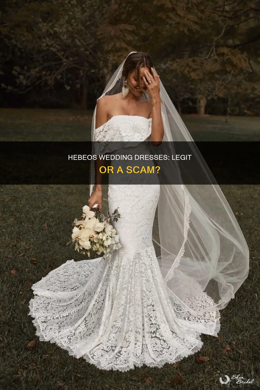 is hebeos wedding dresses legit