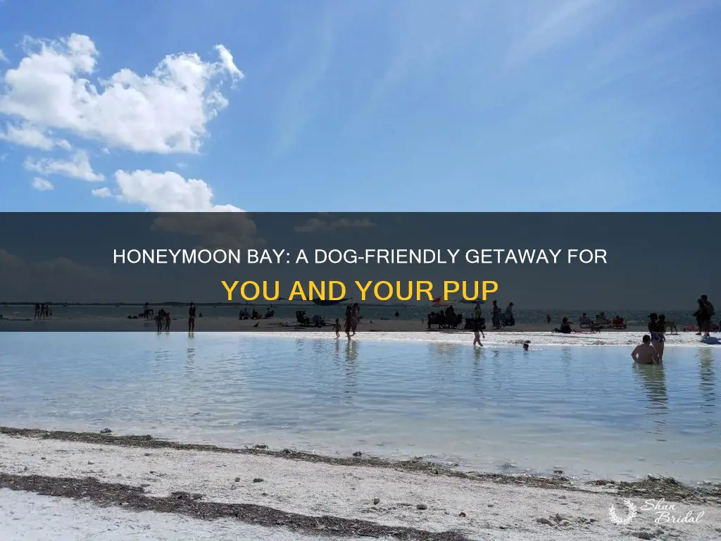 is honeymoon bay dog friendly