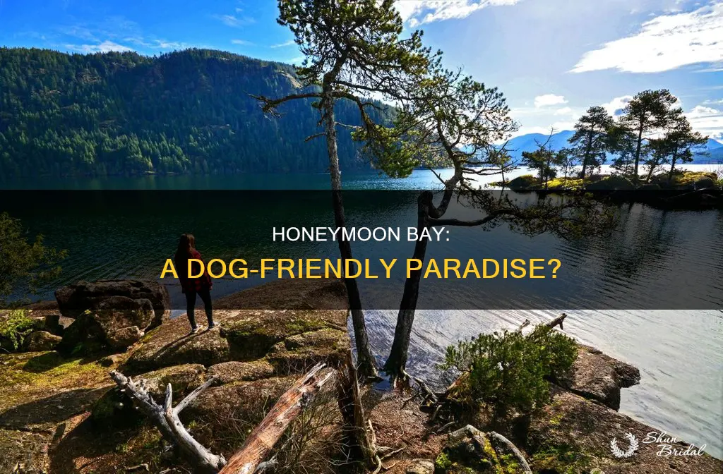 is honeymoon bay dog friendly
