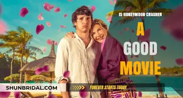 Is 'Honeymoon Crashers' Worth Watching? A Movie Review