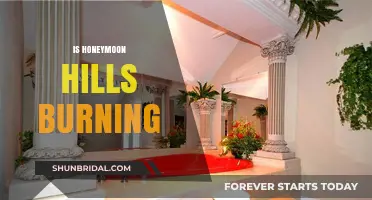 Is Honeymoon Hills Burning? Unraveling the Truth Behind the Rumors