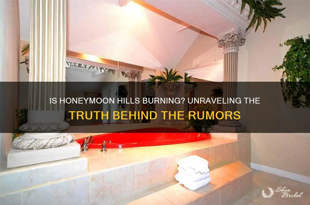 is honeymoon hills burning