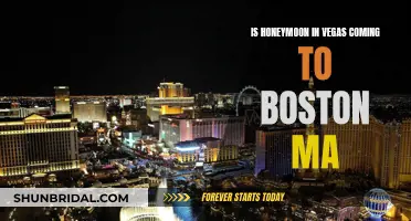 Honeymoon in Vegas: Boston's Take on the Show