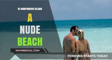 Honeymoon Island: Uncovering the Truth About Its Nude Beach Status