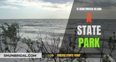 Honeymoon Island: A State Park Paradise in Florida