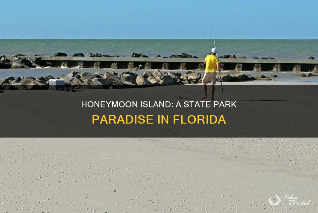 is honeymoon island a state park