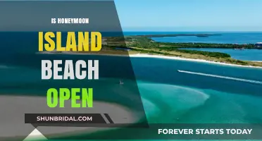 Is Honeymoon Island Beach Open? Current Status and Visitor Updates