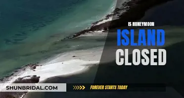 Honeymoon Island: Open for Adventure, Not Closed for Business