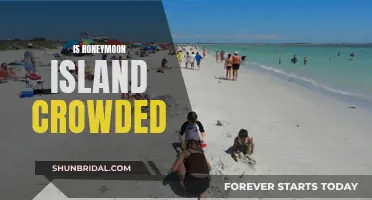 Honeymoon Island: A Guide to Crowds and Relaxation