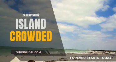 Honeymoon Island: A Crowded Paradise?
