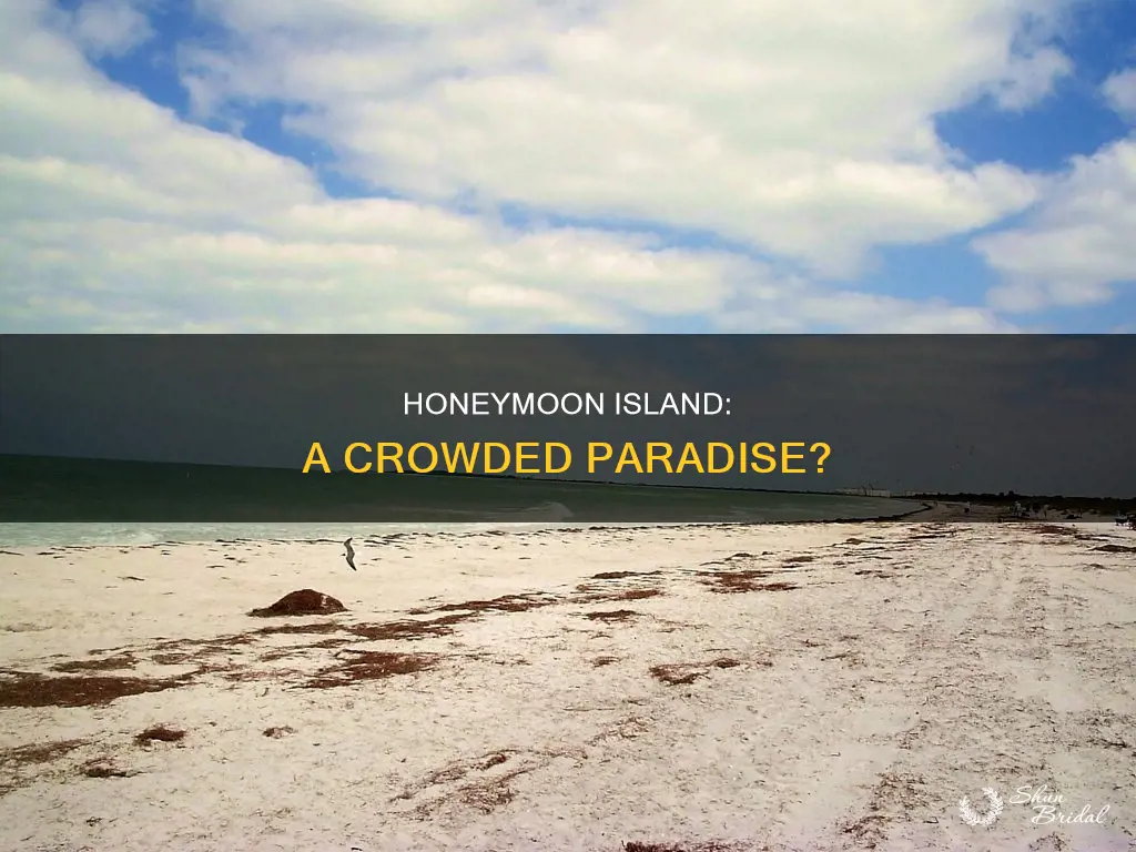 is honeymoon island crowded