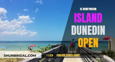 Honeymoon Island Dunedin: Open for Adventure