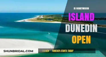 Is Honeymoon Island Dunedin Open? Your Ultimate Guide to Visiting