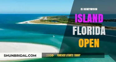 Is Honeymoon Island Florida Open? Current Status and Visitor Guide