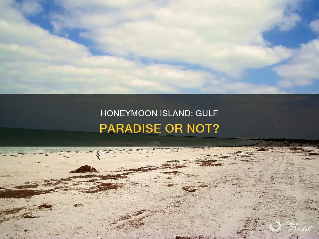 is honeymoon island in the gulf