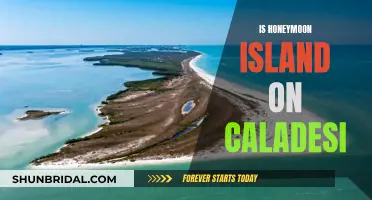 Honeymoon Island: A Hidden Gem on Caladesi