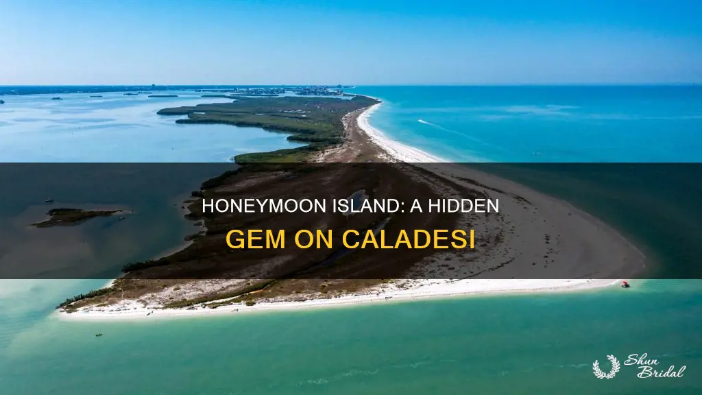 is honeymoon island on caladesi