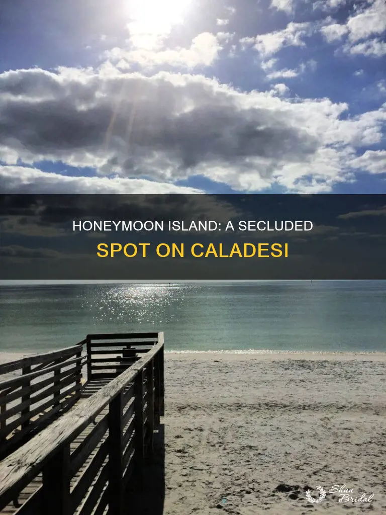 is honeymoon island on caladesi