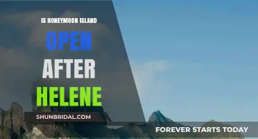 Honeymoon Island Post-Helene: Current Status and Visitor Information