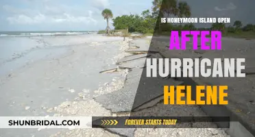 Honeymoon Island Post-Hurricane Helene: Current Status and Accessibility
