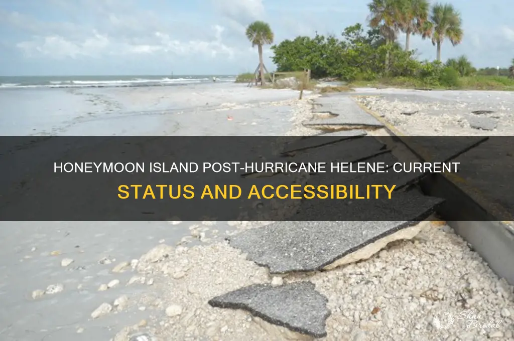 is honeymoon island open after hurricane helene