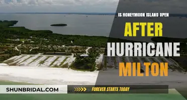 Honeymoon Island Post-Hurricane Milton: Current Status and Accessibility