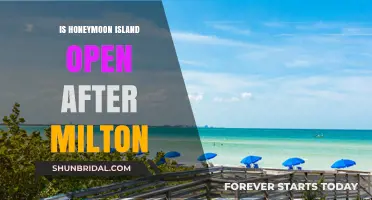 Honeymoon Island Accessibility Post-Milton: Current Status and Visitor Updates