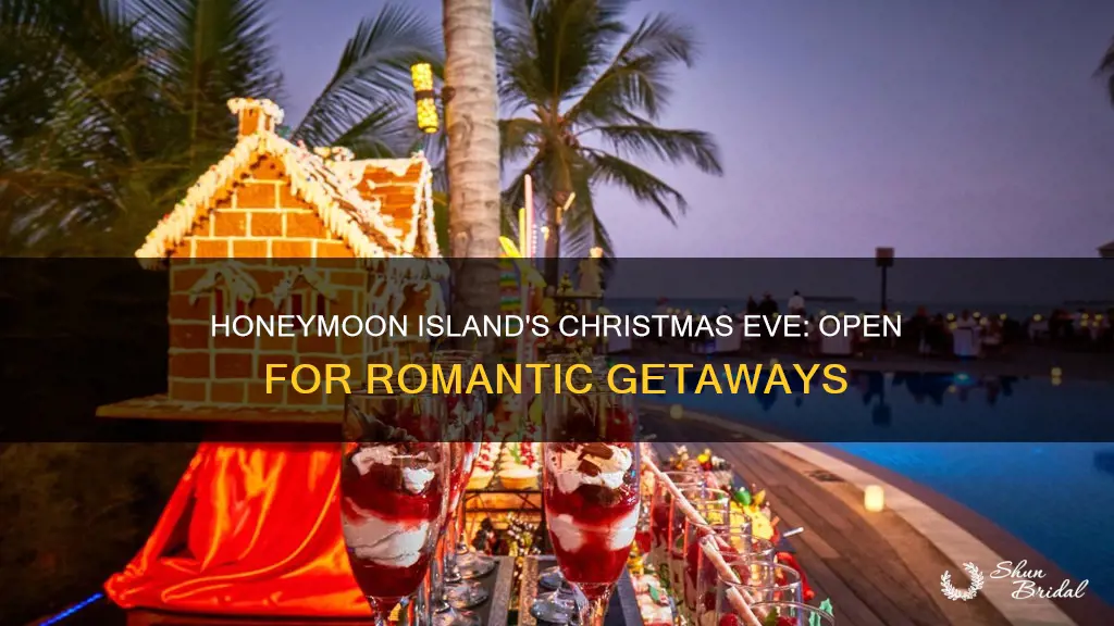 is honeymoon island open christmas eve