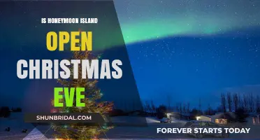 Is Honeymoon Island Open on Christmas Eve? Find Out Here!