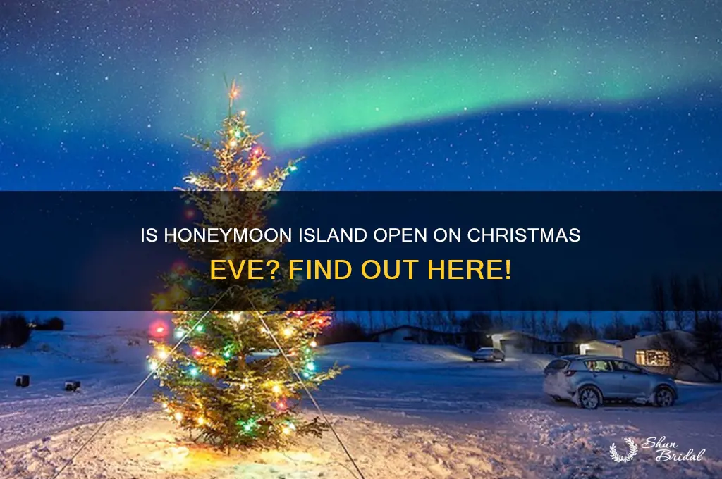 is honeymoon island open christmas eve