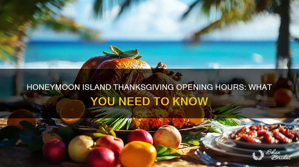 is honeymoon island open on thanksgiving