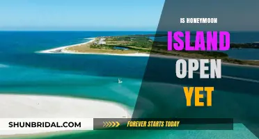 Is Honeymoon Island Open Yet? Latest Updates and Visitor Info