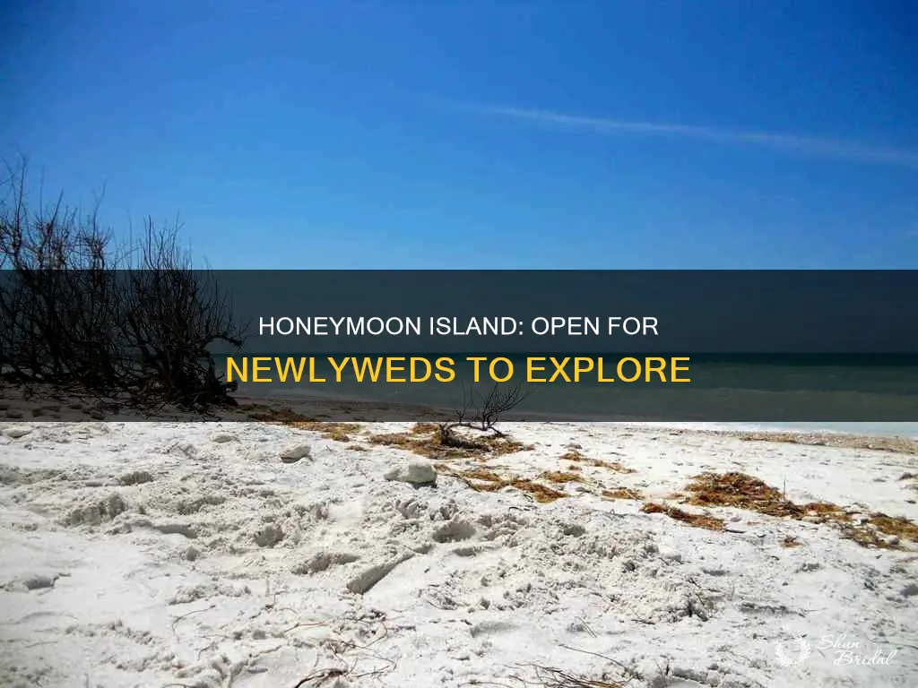 is honeymoon island open