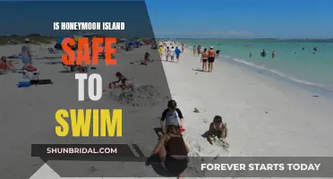 Honeymoon Island's Safety: Swimming Tips and Water Quality