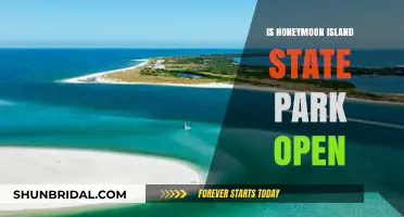 Is Honeymoon Island State Park Open? Current Status and Visitor Tips